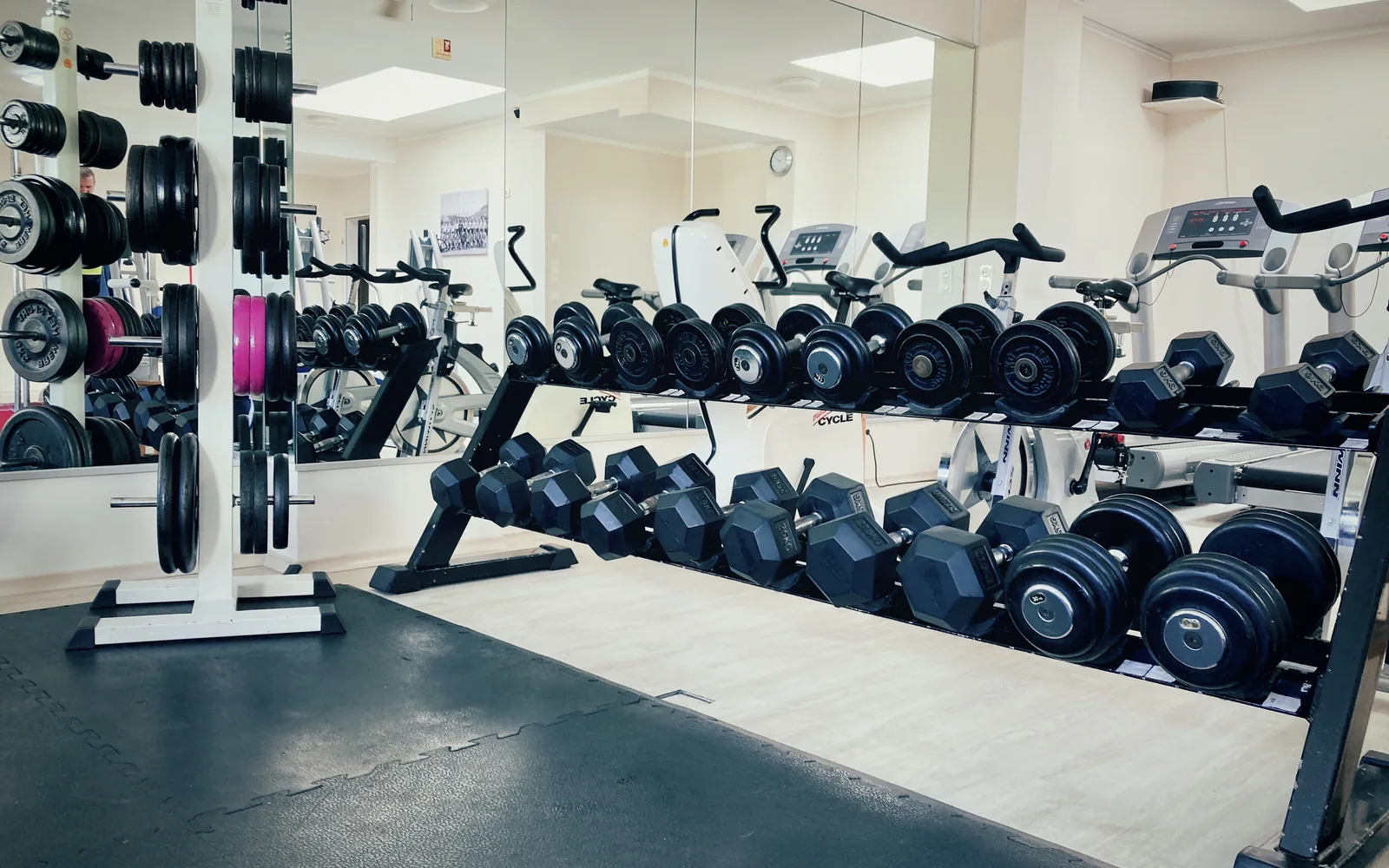 Hanteln und Kraftgeräte im Trainingsbereich von GeTFit Cham